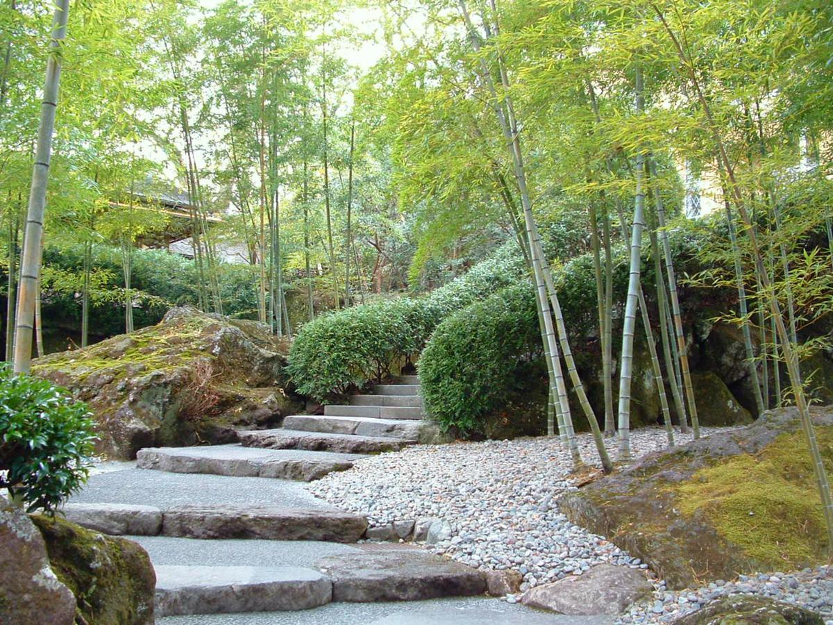 Tkp Lectore Hakone Gora Exteriér fotografie